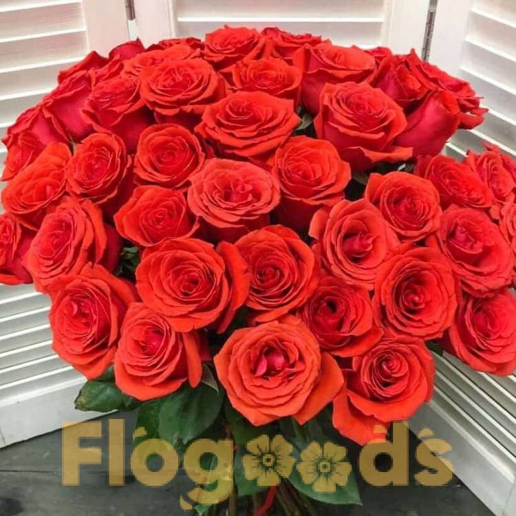 51 красная роза за 19 510 руб.